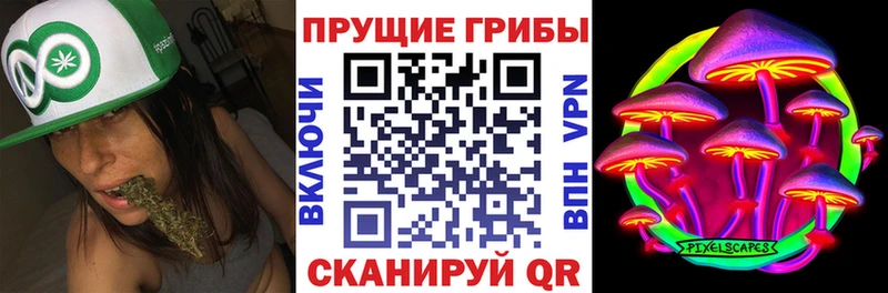 Псилоцибиновые грибы ЛСД  Купить где  Ковдор 
